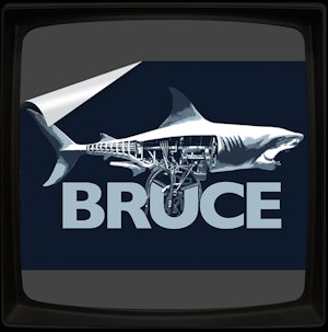BRUCE - STICKER
