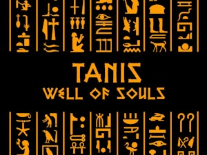 TANIS 'WELL OF SOULS' - LADIES ROLLED SLEEVE T-SHIRT-2