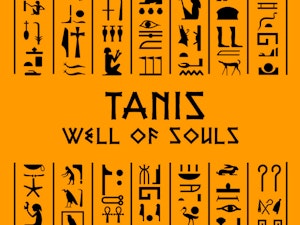 TANIS 'WELL OF SOULS' - LADIES ROLLED SLEEVE T-SHIRT-4